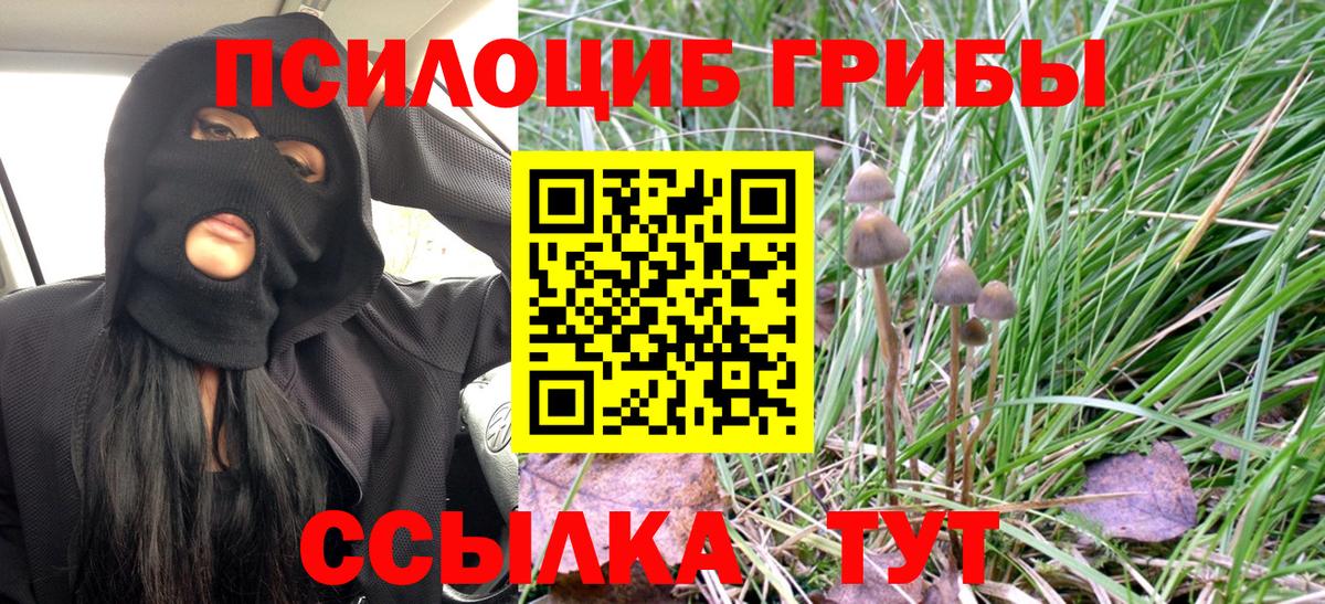 Псилоцибиновые грибы MAGIC MUSHROOMS Миасс