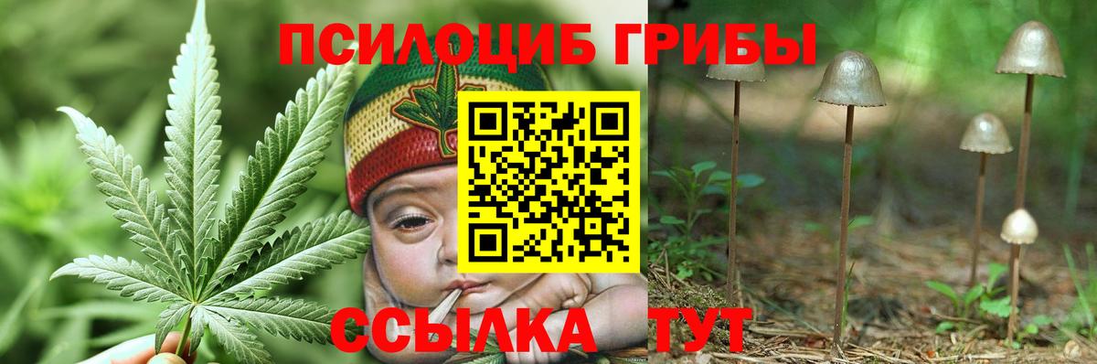 Псилоцибиновые грибы Magic Shrooms  Вход с VPN  Миасс 